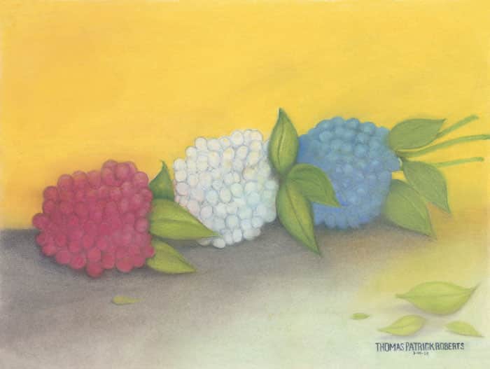 Red White & Blue - Pastel - 17” x 24”